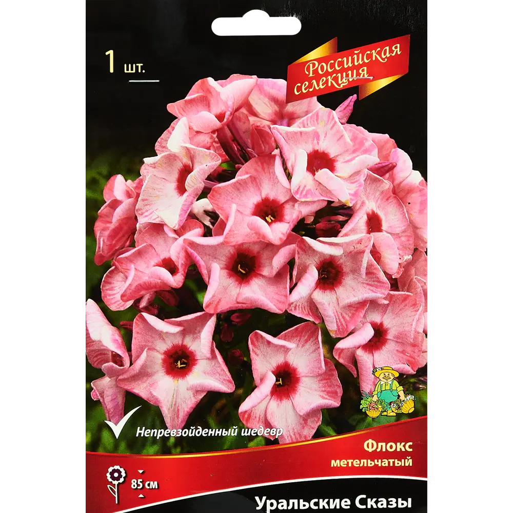 Флокс метельчатый Уральские сказы ПОИСК STLM-2141126