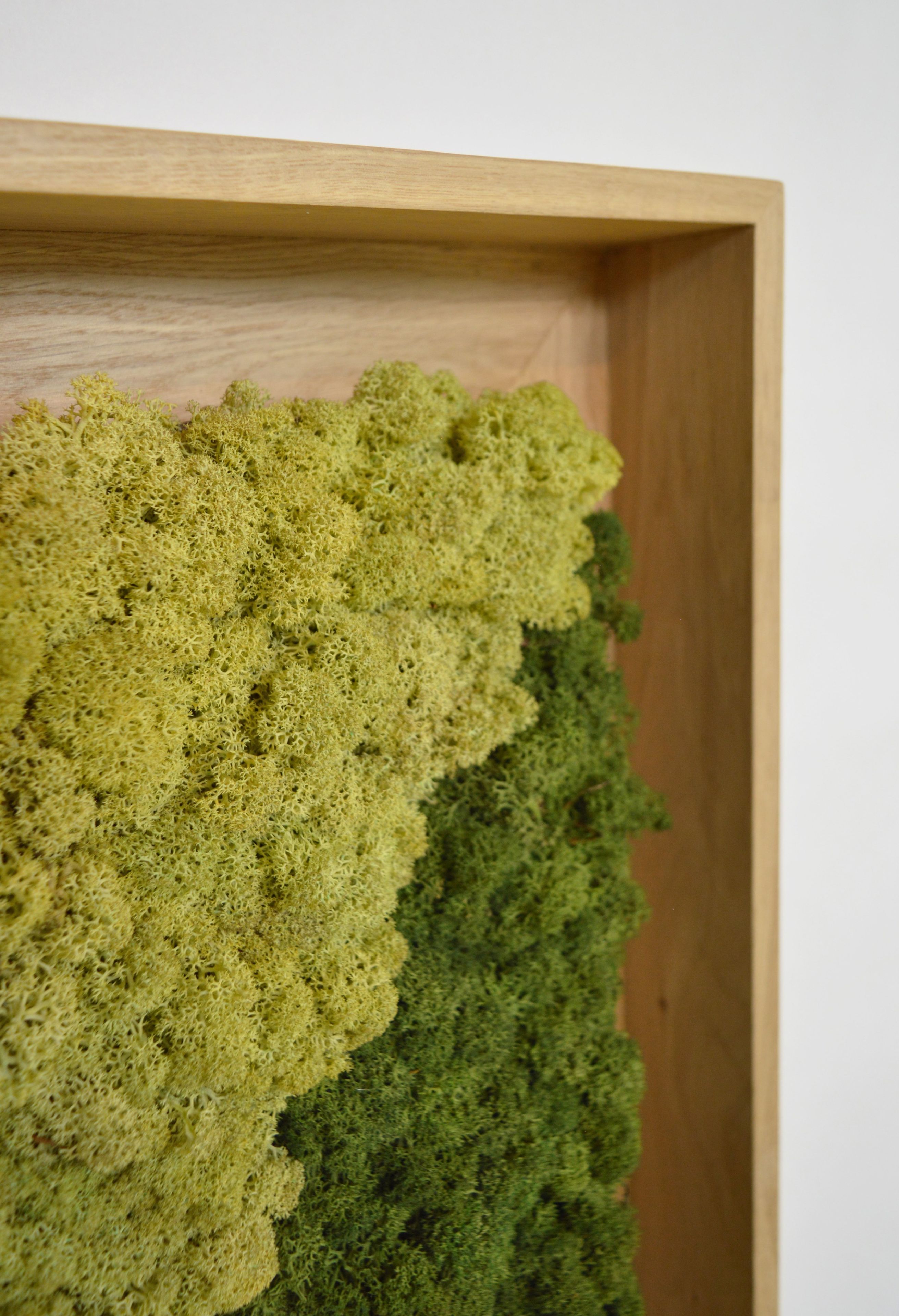 Акустическая панель из мха GREENMOOD FRAMED LANDSCAPE ARCH-00143245 - Вид №28