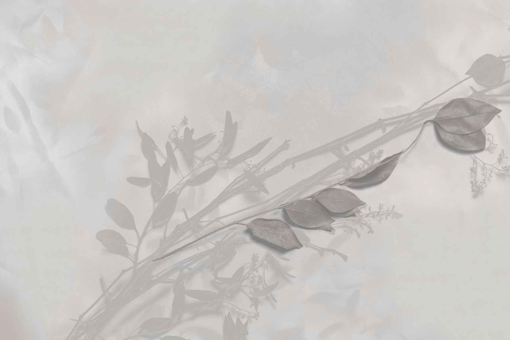 Панорамные обои GLAMORA Творческая коллекция, глава XIV ARCH-00000810 - Вид №1