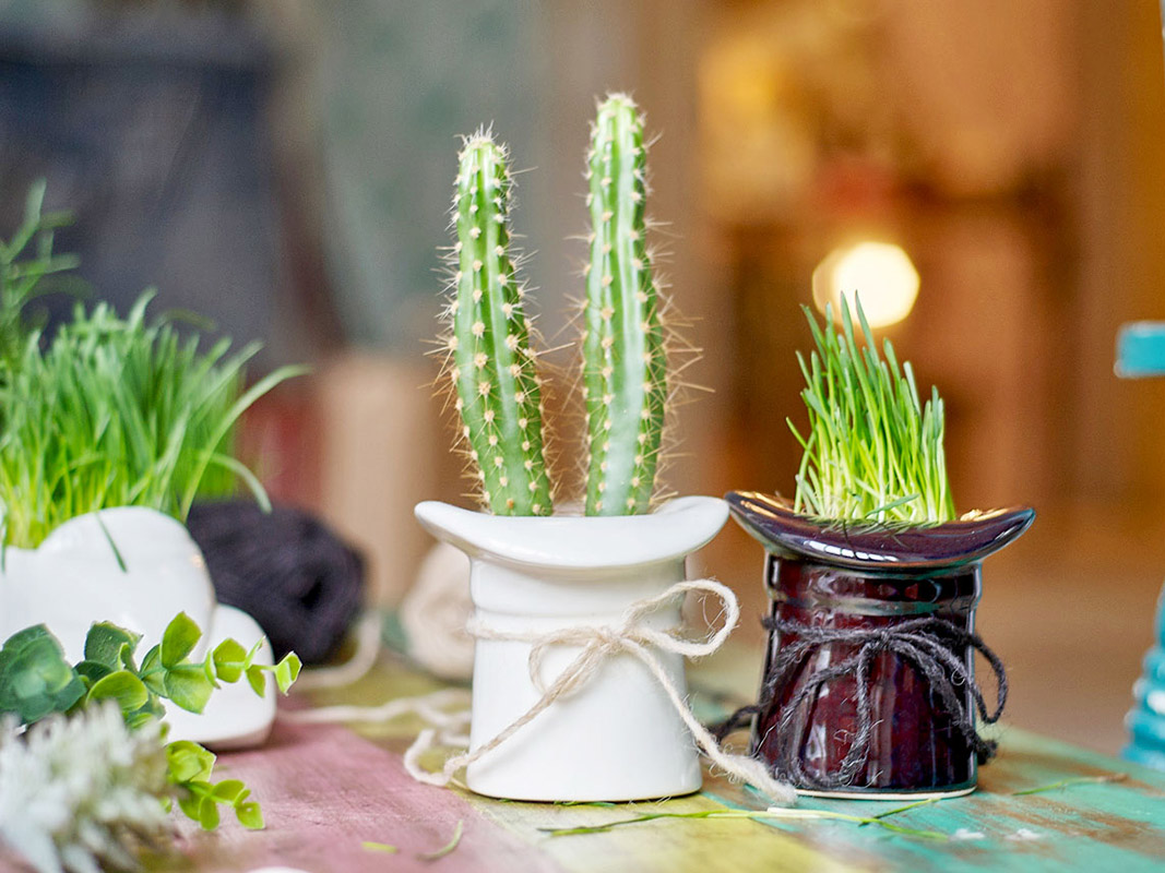 3002 Набор для выращивания eco шляпа Экочеловеки  - Вид №2