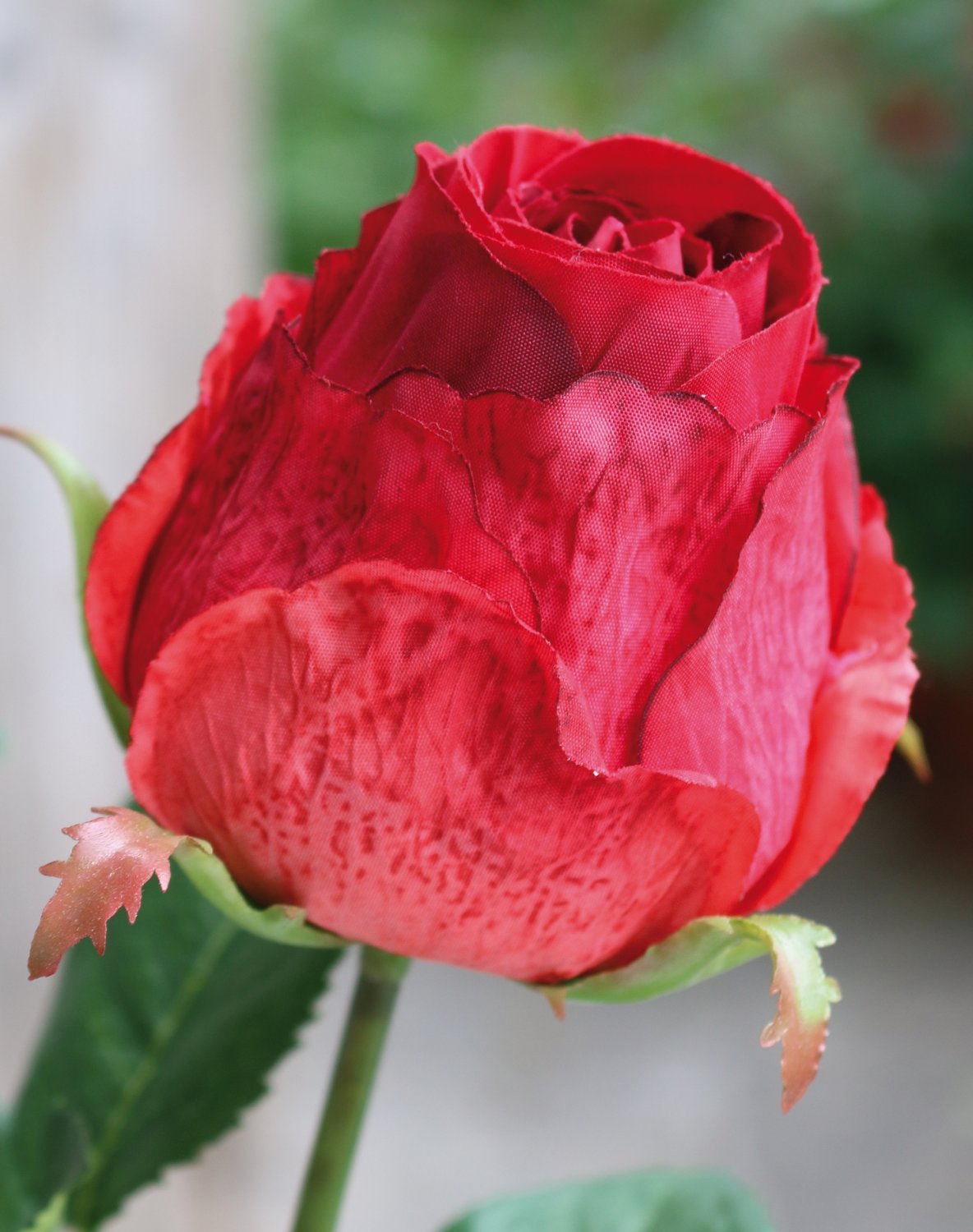 2628 444 a3 Искусственная роза, 1 цветок, 1 бутон, 80 см, красная H-andreas  - Вид №2