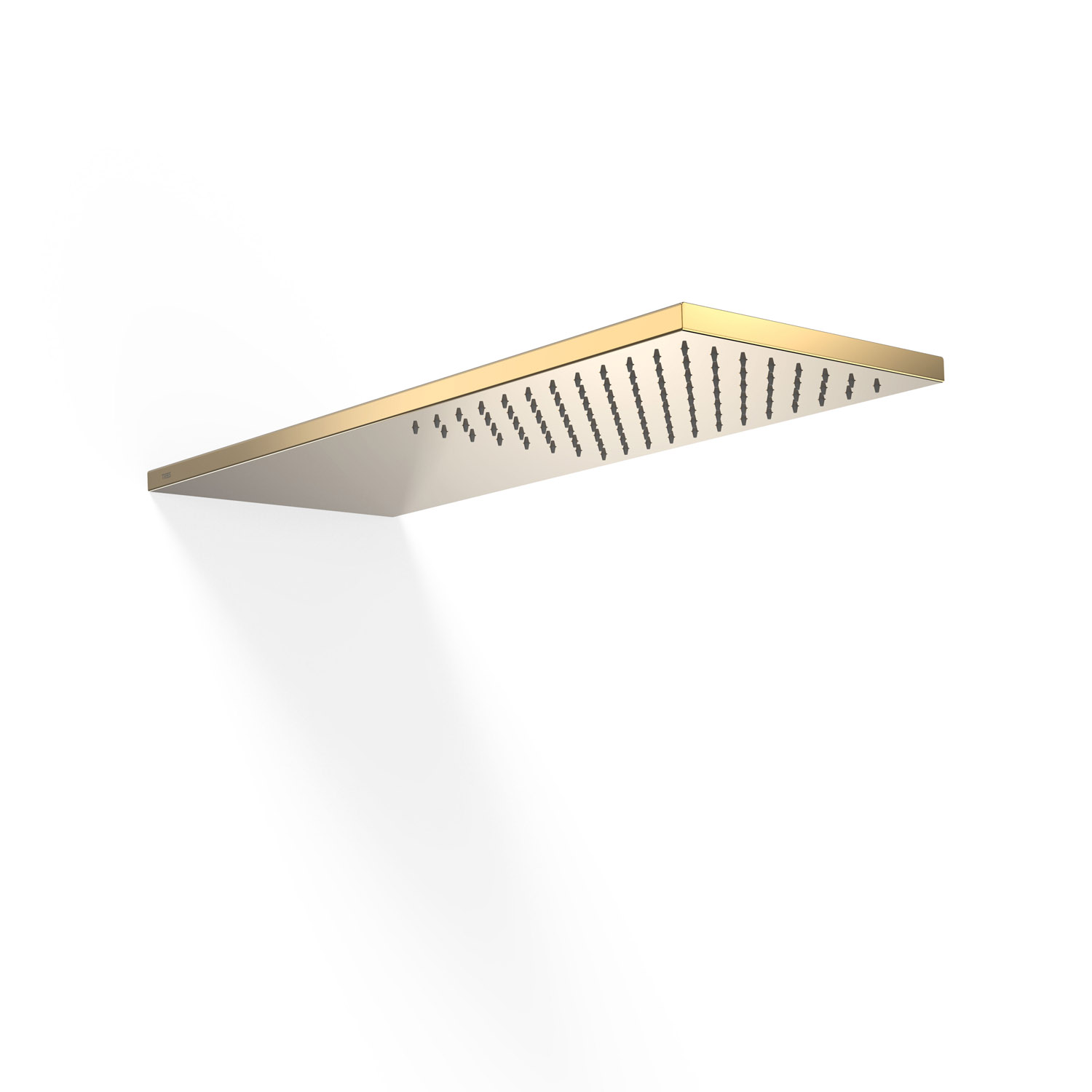 Настенная насадка для душа-29990302OR TRES Showers