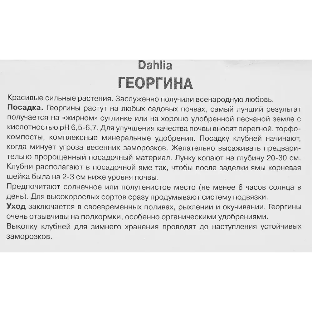 Георгина декоративная Давид Ховард 89351765 STLM-2114661 ПОИСК  - Вид №2