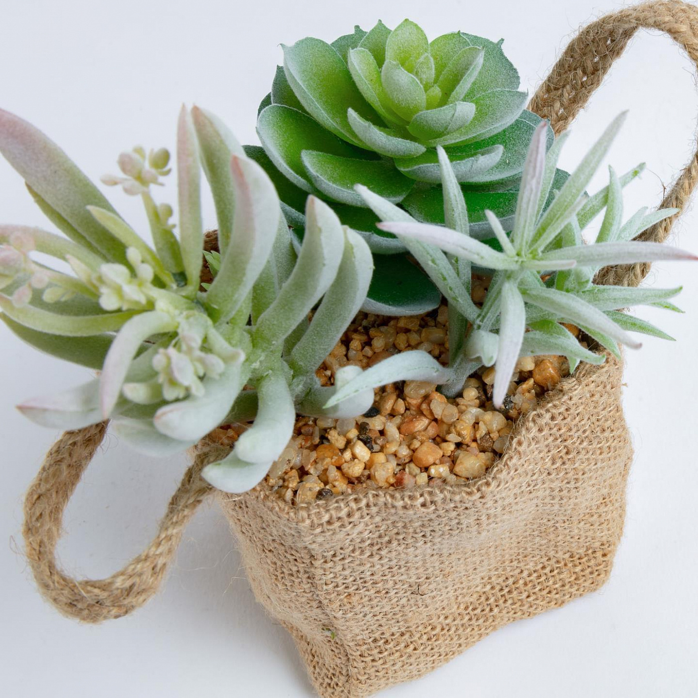 068868 Flower 3 искусственных суккулента в льняной сумке La Forma Suculenta 