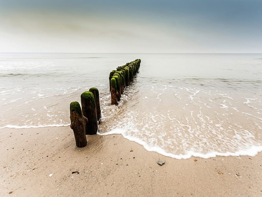 Обои с цифровой печатью Architects Paper AP Digital II ARCH-00023687