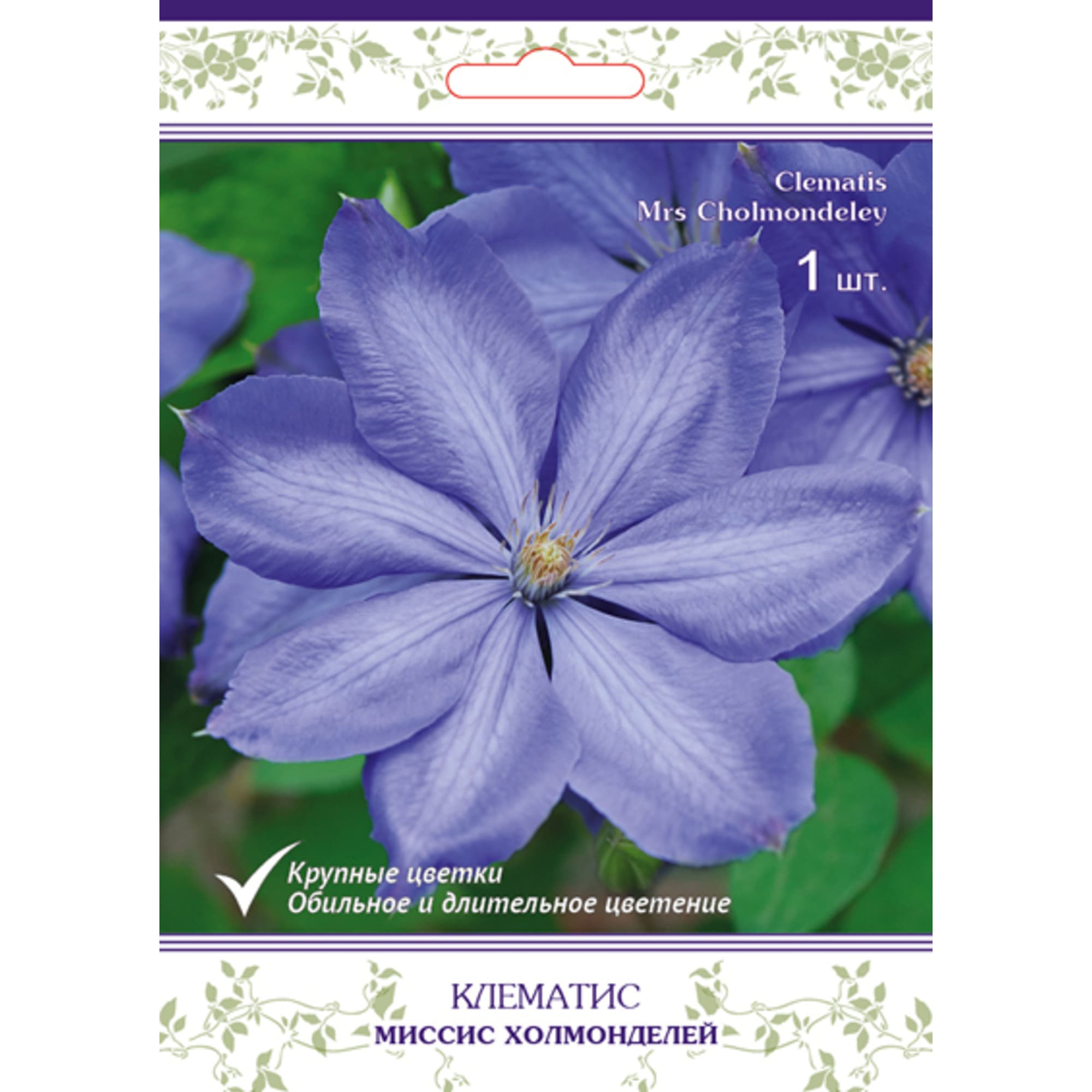 83431376 Клематис крупноцветковый Миссис Холмонделей h15 см Santreyd 