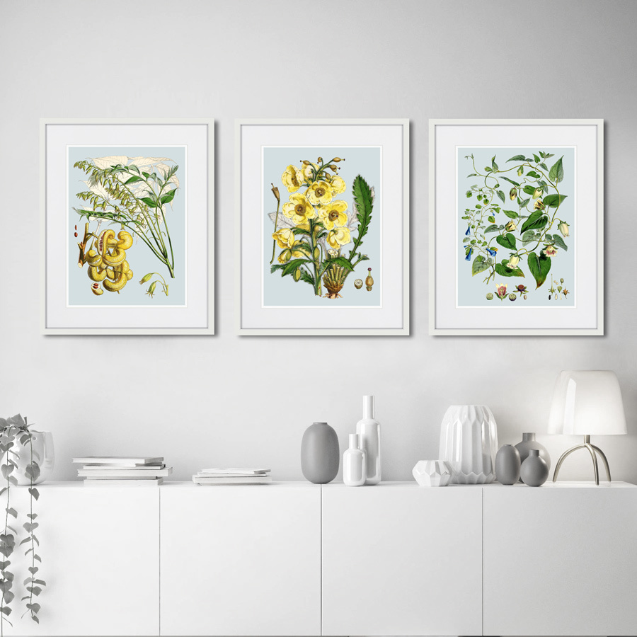 Картина в раме 52х42 см Himalaya Plants Yellow Flower, 1869г. КАРТИНЫ В КВАРТИРУ  264426 Желтый;зеленый;разноцветный  - Вид №2