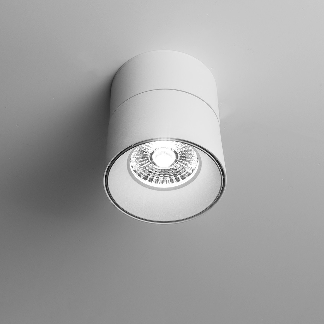 Frezia Light 1015 белый светильник настенно-потолочный 119264 - Вид №1