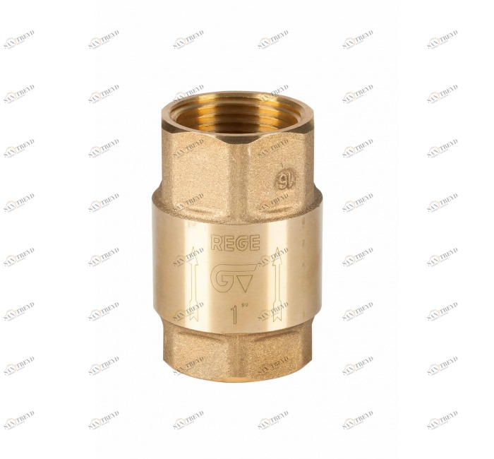 GENEBRE 3121 09 REGE check valve 