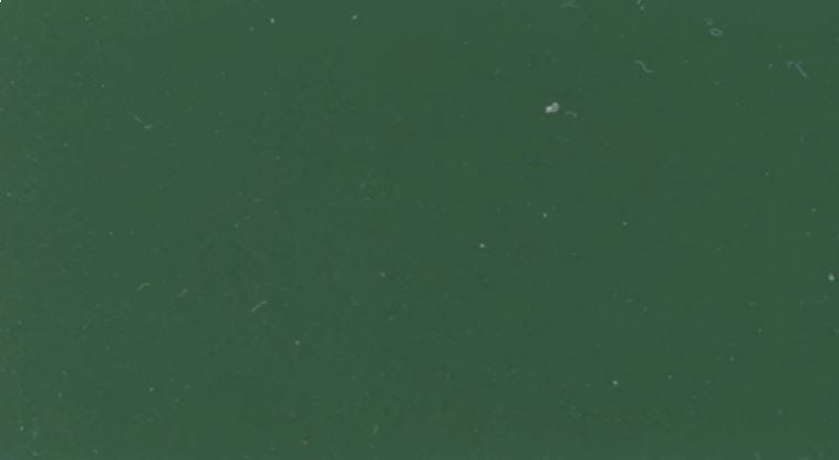 Глянцевая антикоррозийная эмаль Progettomateria SMALTO ZINC LUCIDO ARCH-00116660 - Вид №37