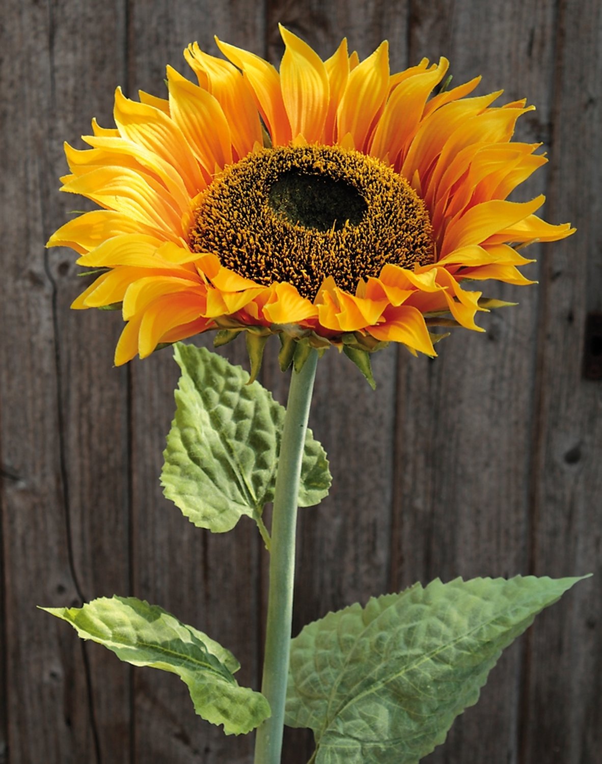 3601 330 a3 Искусственный подсолнух, 100 см, желтый H-andreas  - Вид №4