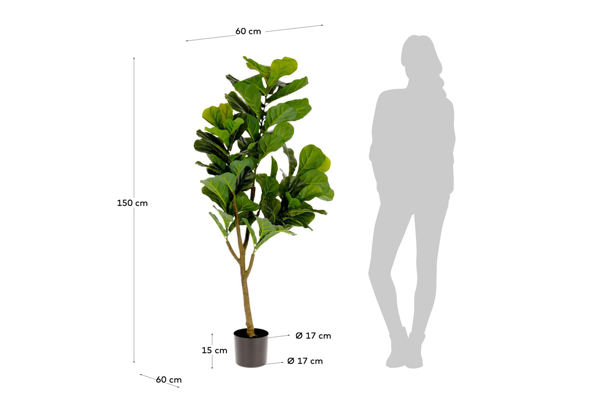 2000983224699 Фикус 150 см SELETTI  - Вид №1