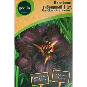 Лилейник Geolia гибридный Лонгфилдз Блэкмэджик 86408701 STLM-2130122