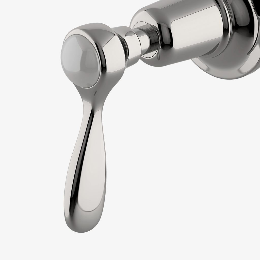 EAVC22 Облицовка клапана регулировки объема Easton Classic с металлической ручкой-рычагом Waterworks  - Вид №1