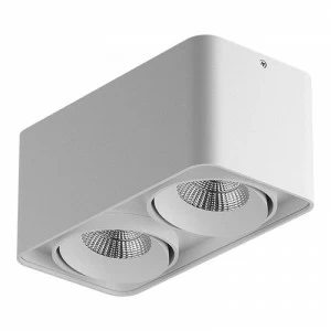 Потолочный светильник Lightstar Monocco 212526 LIGHTSTAR MONOCCO 083157 Белый