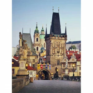 C1-205 Фотообои DIVINO Collection C 2.7х2 м