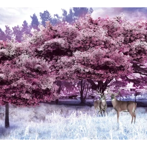 Фотообои Зимняя история флизелиновые, 300x270 см, L13-198