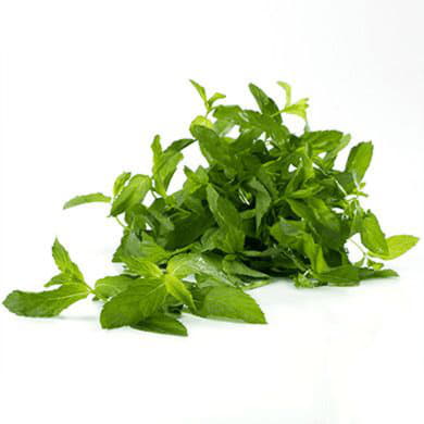 Мята Santreyd 1874 - Вид №1