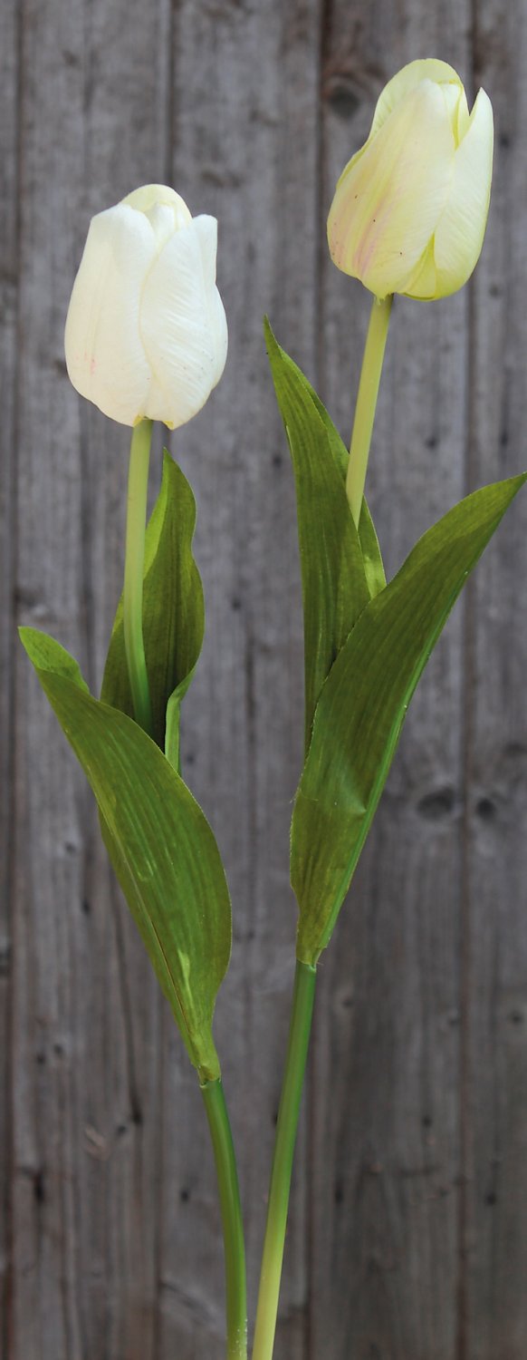 3115 788 a2 Искусственный тюльпан, 57 см, real touch, бежево-зеленый H-andreas  - Вид №4