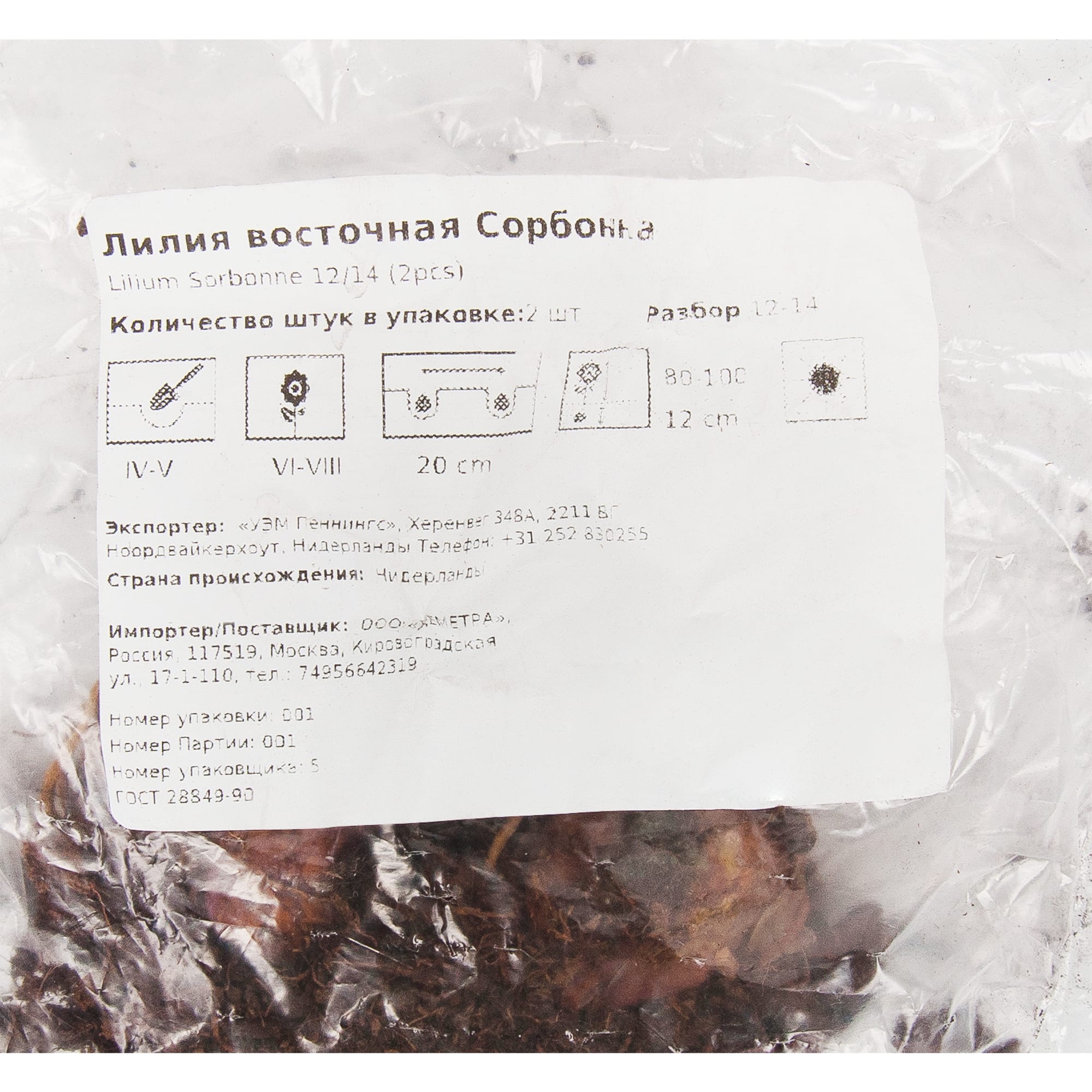 83760990 Лилия восточная Сорбонна луковица II Santreyd  - Вид №1