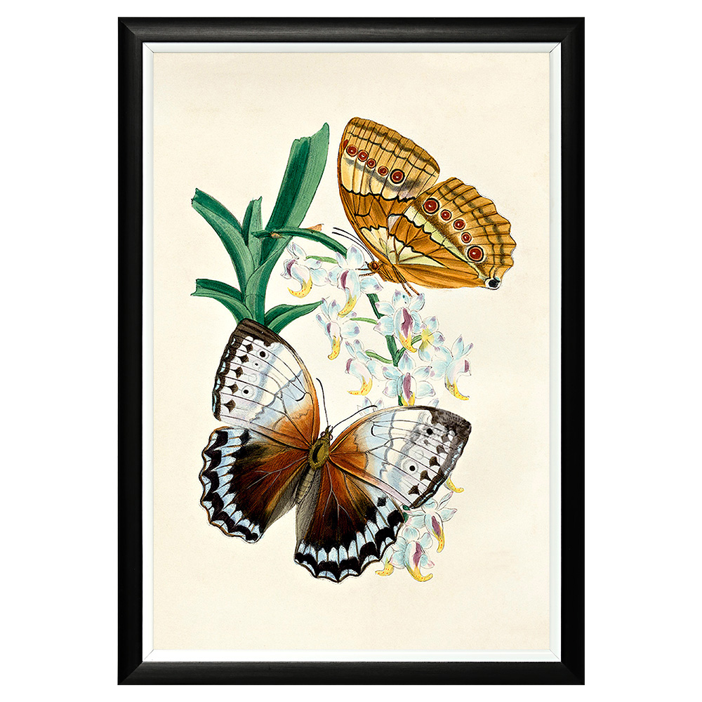 782752433_1818 Арт-постер «Тропический рай», версия 30 Object Desire 