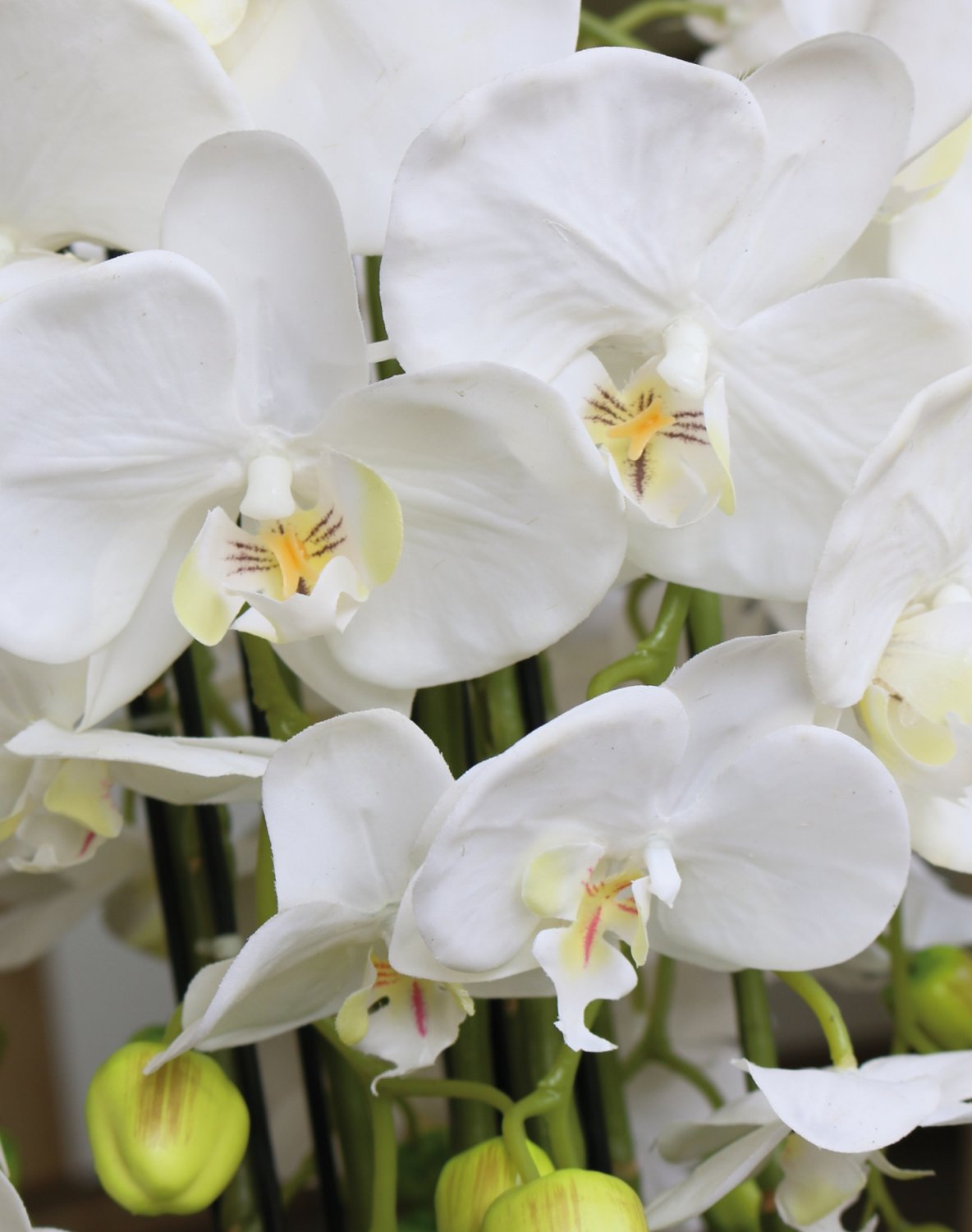 2861 777 a3 Пластиковая орхидея Phalaenopsis с 'почвой', 9-кратная, 70 см, real touch, белая H-andreas  - Вид №2