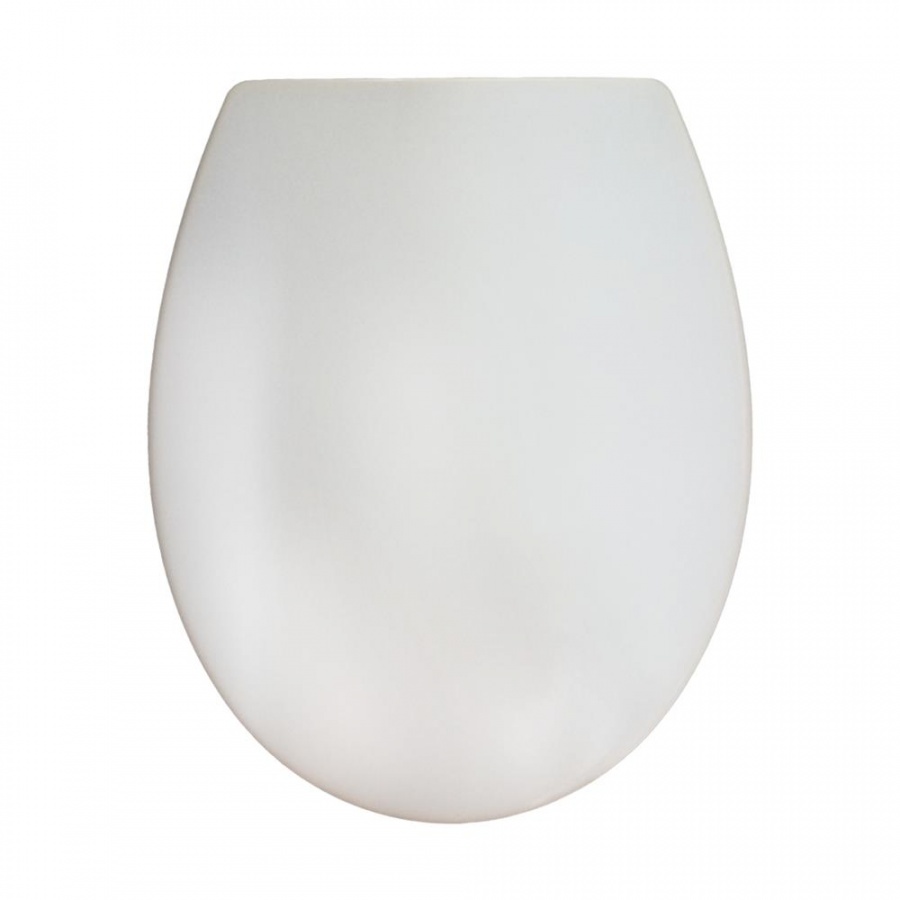 C557851WH сидение для унитаза с микролифтом AM.PM Bliss - Вид №2