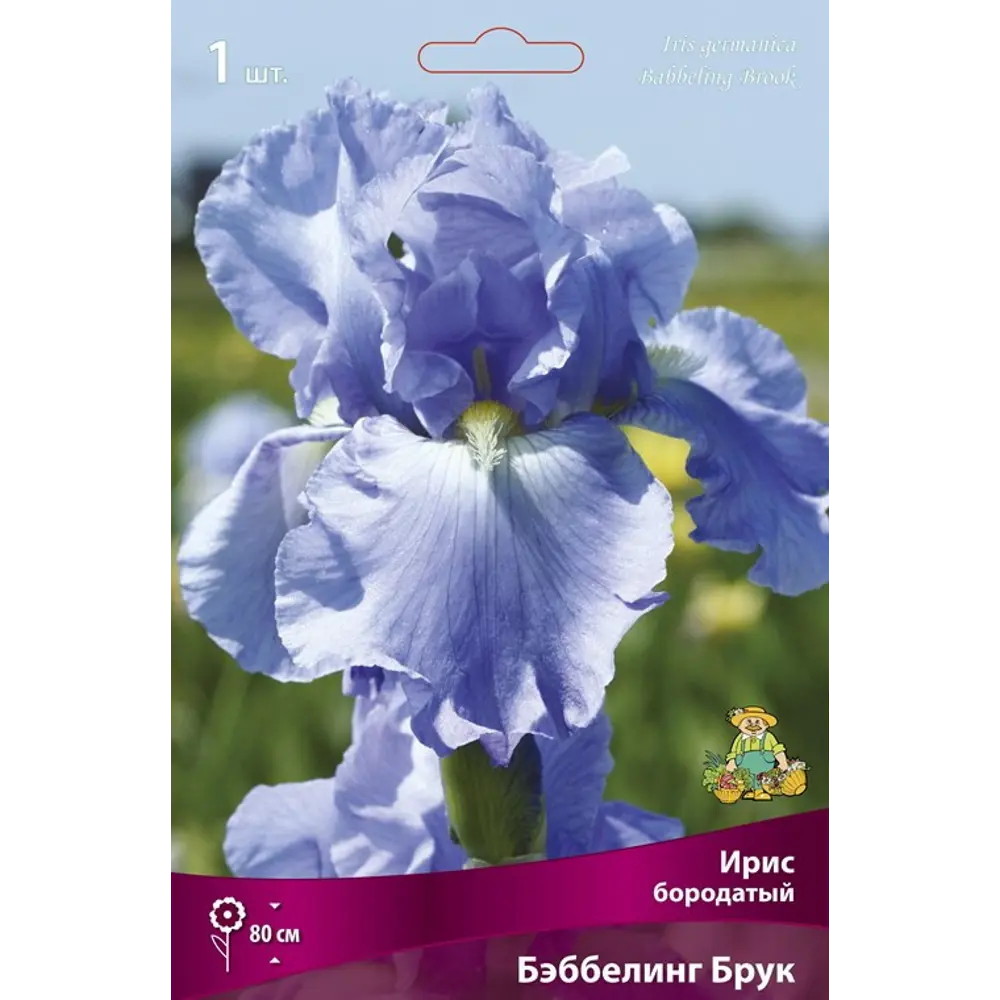 Ирис бородатый Бэббелинг Брук ПОИСК STLM-2148787