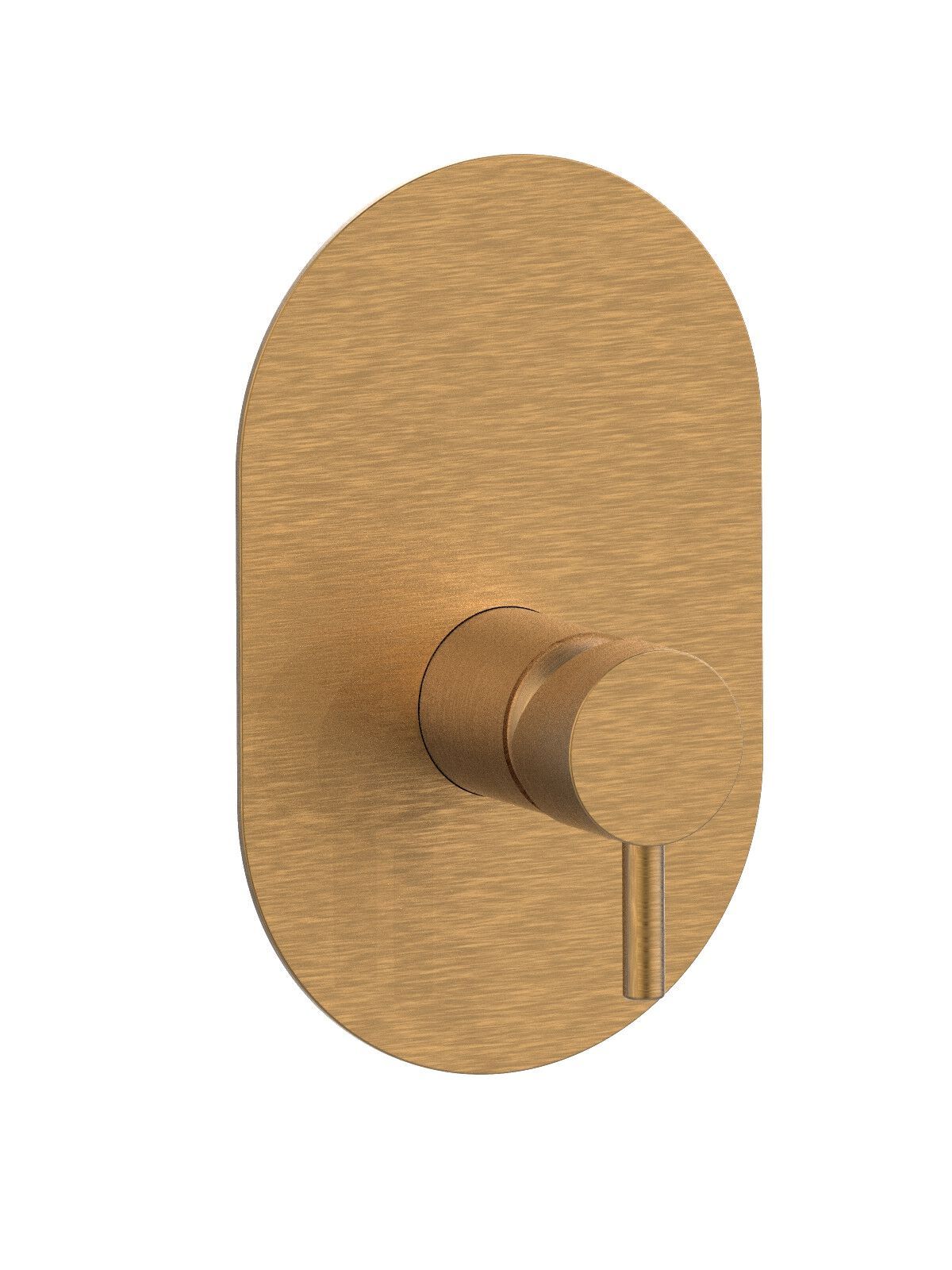 Встраиваемый однорычажный смеситель для душа Rubinetterie Frattini Pepe XL ARCH-00090578 - Вид №15