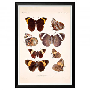 782752383_1818 Арт-постер «Тропический рай», версия 17 Object Desire