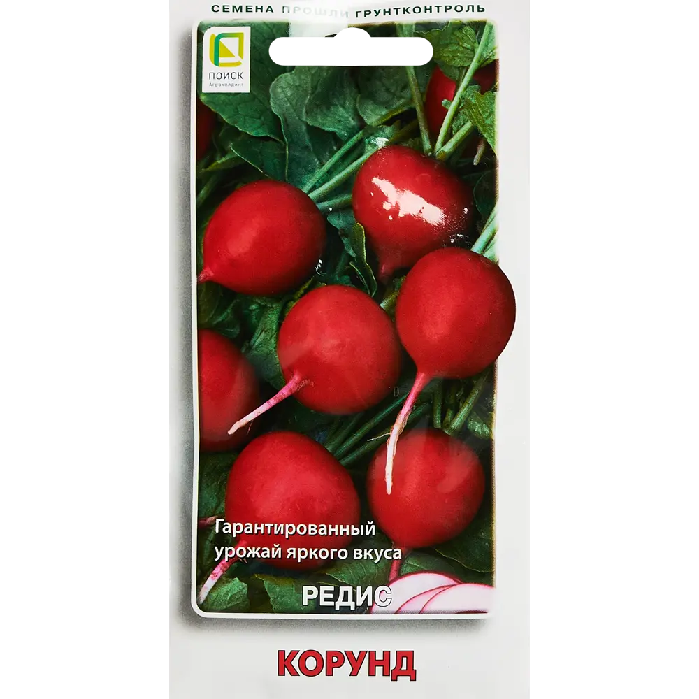 Семена овощей Поиск редис Корунд 89346713 STLM-2055954 