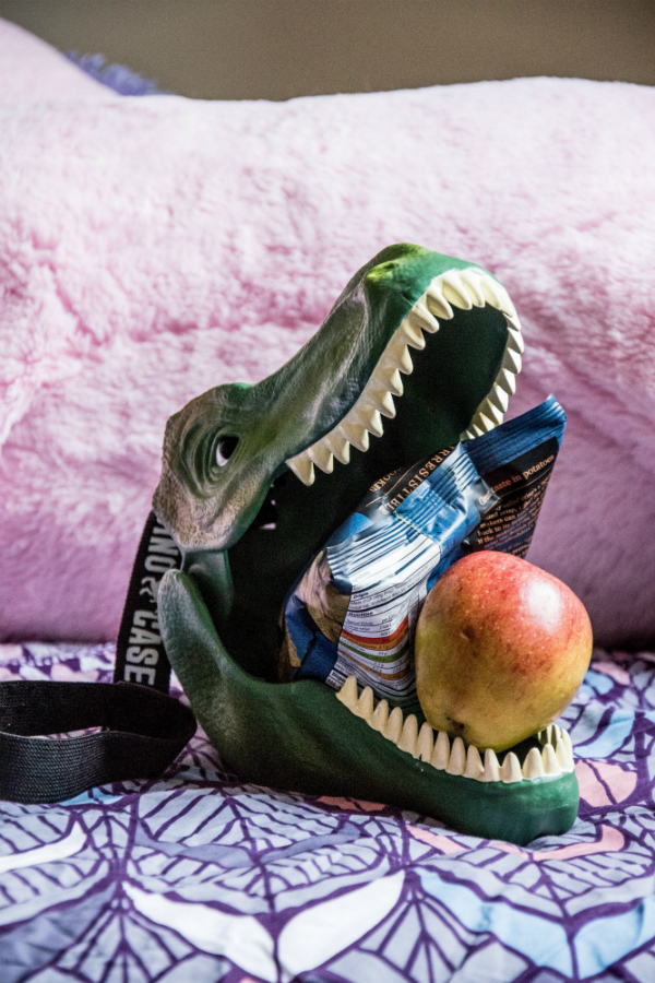 SK BOXDINO1 Бокс для хранения dinosaur Suck UK  - Вид №7