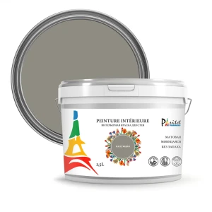 Краска для стен и потолков Paritet матовая цвет интуиция 2.5 л