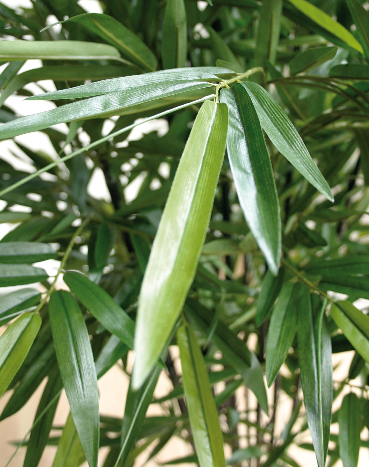 5694 883 a3 Бамбук искусственный, в горшке, 210 см, зеленый H-andreas  - Вид №12