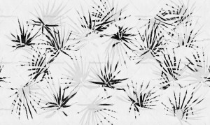 Carta da parati PVC free, eco-friendly, lavabile