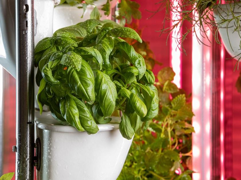 Natufia Отдельно стоящий кухонный модуль для гидропоники sun-id-1432001 - Вид №10