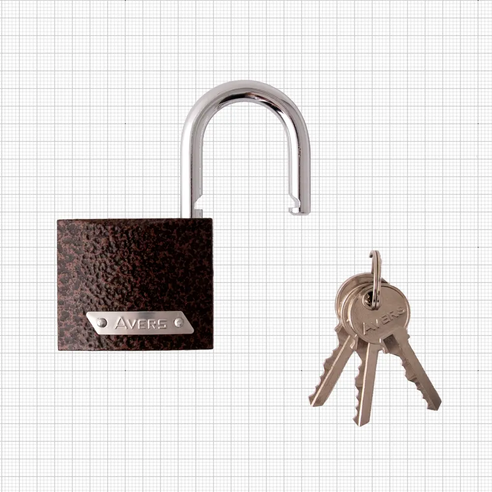 Комплект навесных замков Avers PD-01-50 48х41 мм, чугун, 3 шт STLM-2184445 - Вид №1