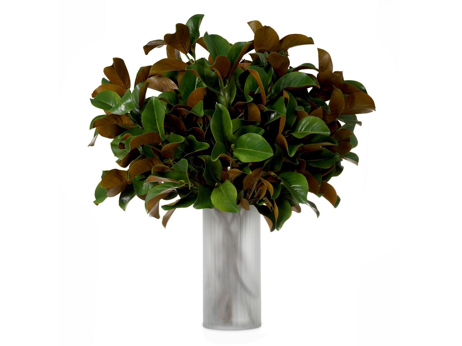 Искусственное растение Eichholtz BUNDLE OF MAGNOLIA LEAVES ARCH-00138601