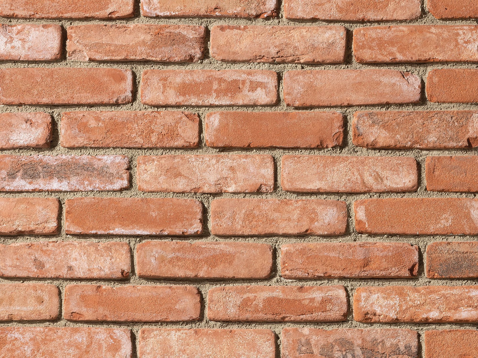 Натуральный терракотовый облицовочный кирпич GEOPIETRA® профиль TERRAKOTTA ARCH-00090632 - Вид №1