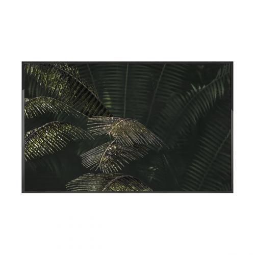 Kentia Произведение искусства Visionnaire 