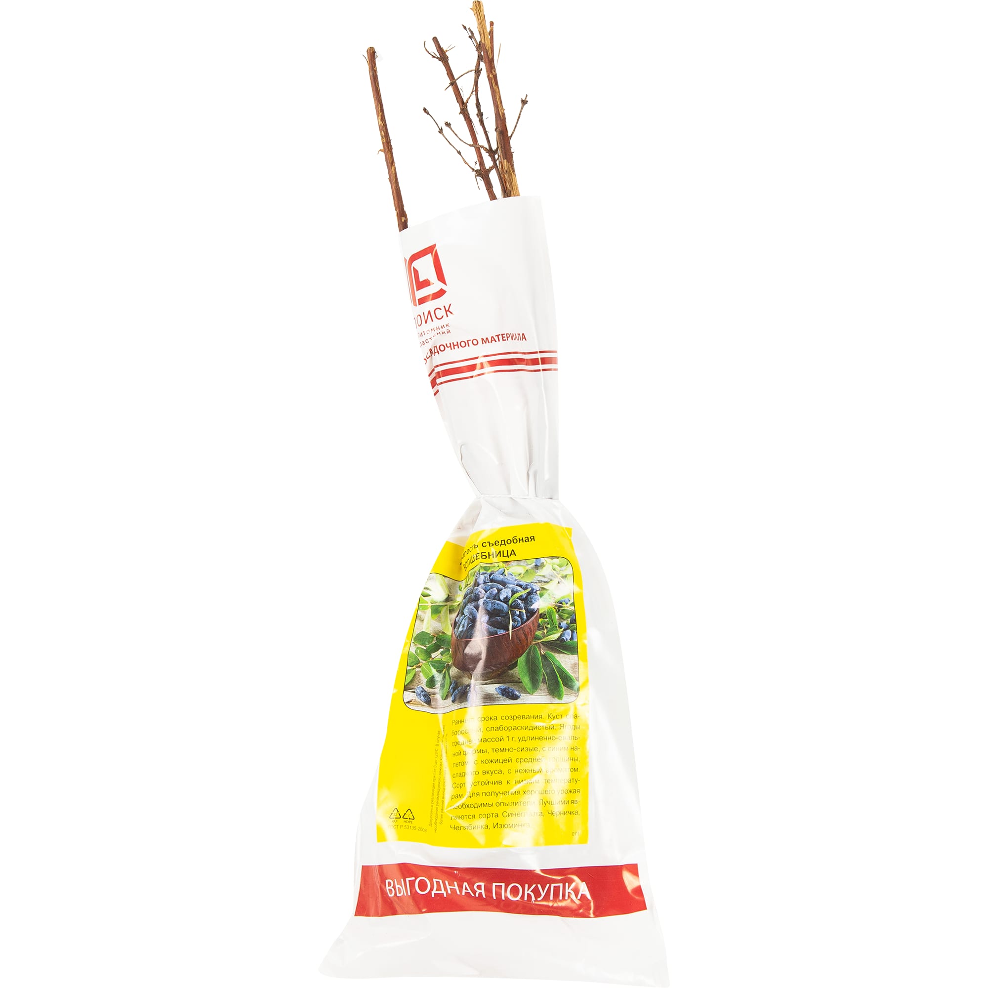 82150795 Жимолость «Волшебница» Santreyd 