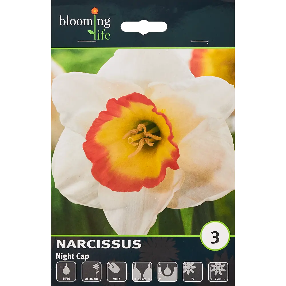 Нарцисс Найт Кэп - луковицы для сада (3 шт.) 88757450 Santreyd STLM-1583178