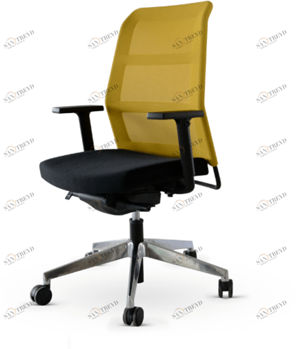 Wiesner-Hager Офисное кресло на 5 спиц с подлокотниками на колесиках Paro_2 sun-id-1349545