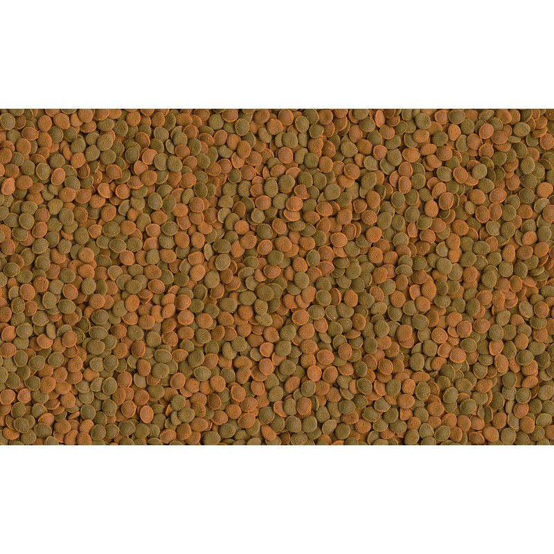 ПР0025296 Корм для рыб Pleco Multi Wafers корм для сомов в виде крупных чипсов 3,6л TETRA  - Вид №3