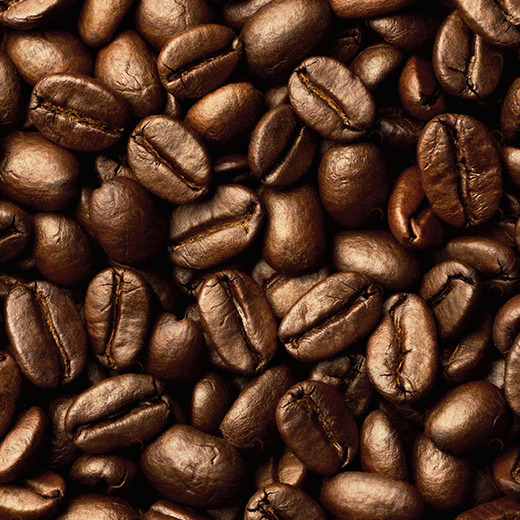 A1-082 Фотообои DIVINO Collection A 2.7х1 м A1082