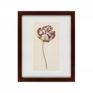 Картина: Tulp №1, 1815 КАРТИНЫ В КВАРТИРУ  135615 Разноцветный