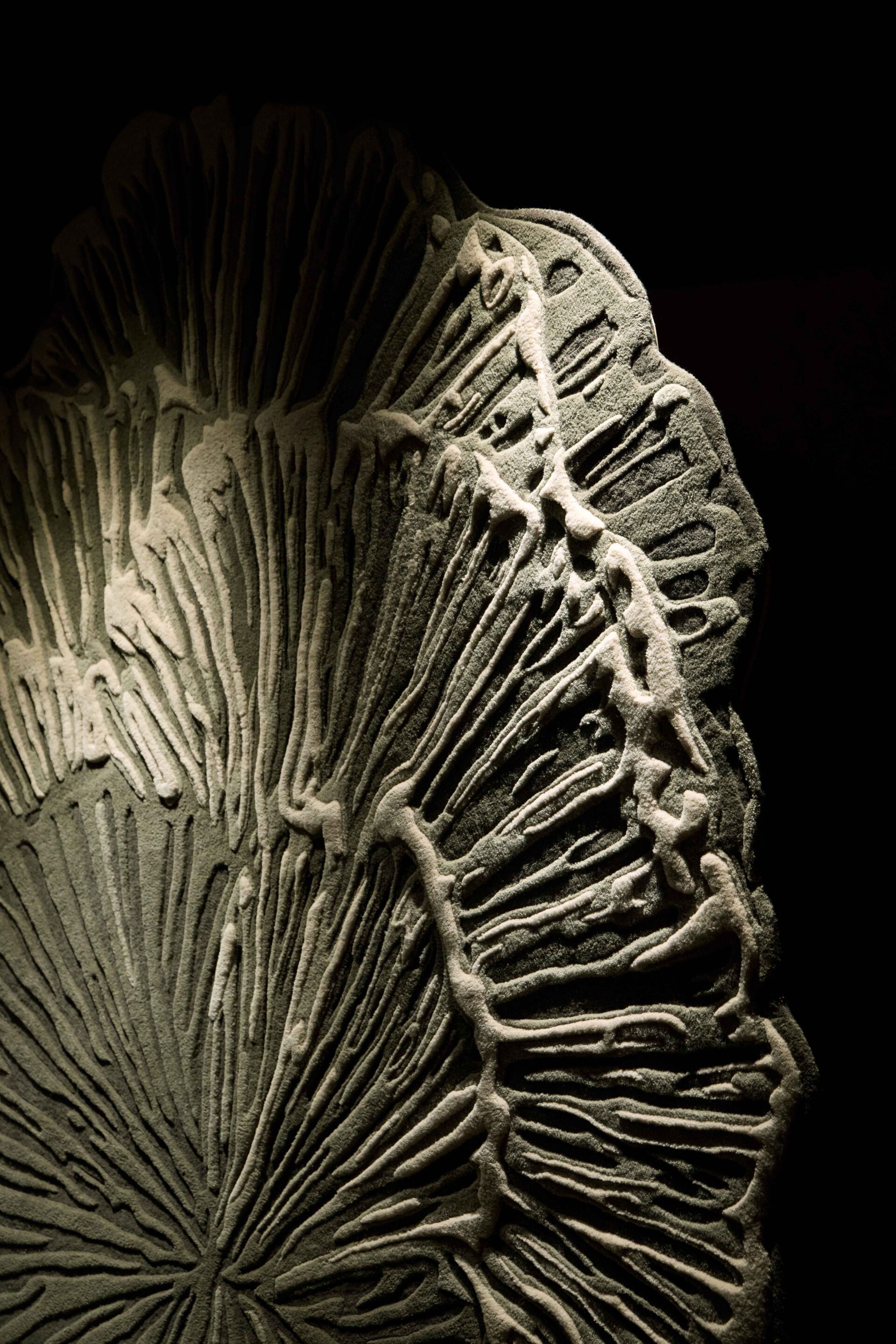 Шерстяной ковер GAN ботаника ARCH-00057778 - Вид №8