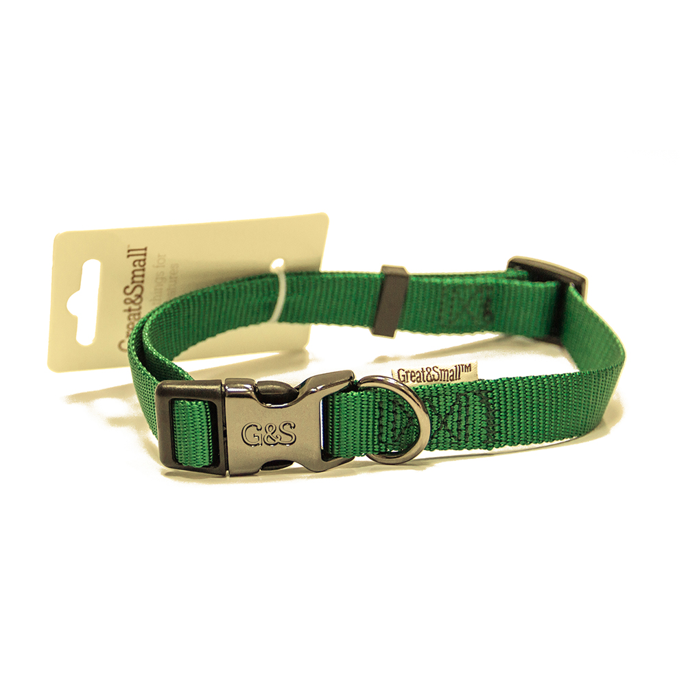 ПР0041972 Ошейник для собак 25x450-650мм нейлон Зелёный Great&Small 