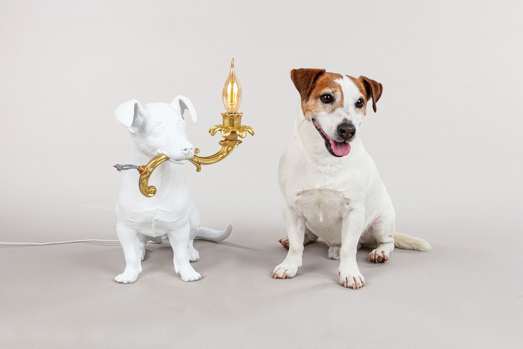 Светодиодная настольная лампа из смолы Seletti Rio Lamp ARCH-00072573 - Вид №15