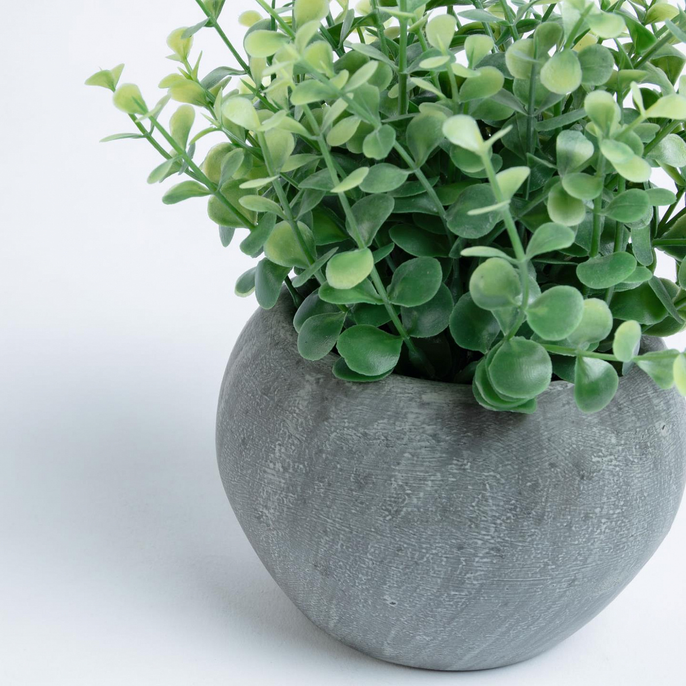 068876 Flower Искусственное растение эвкалипт в сером горшке La Forma Eucalipto - Вид №1